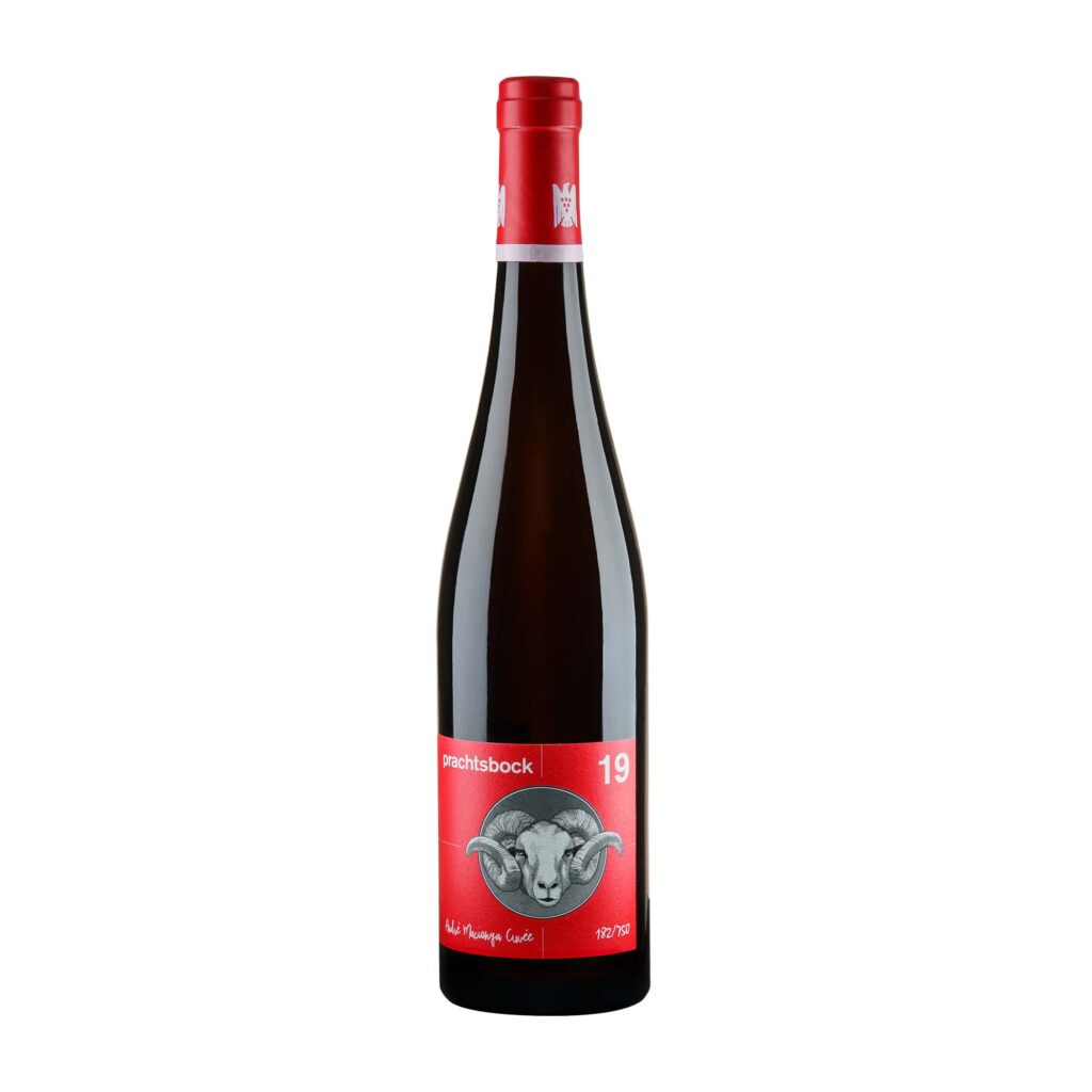 2020 Bergwingert Riesling trocken - Clüsserath-Eifel